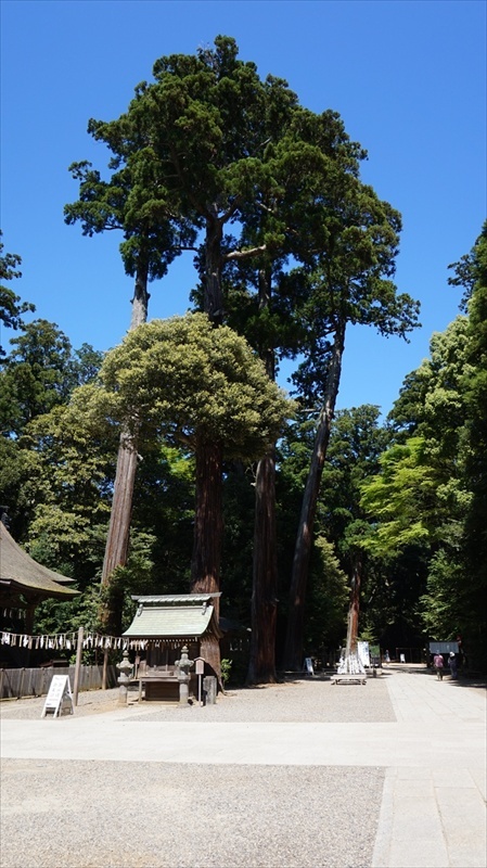 20150430 13400301.JPG