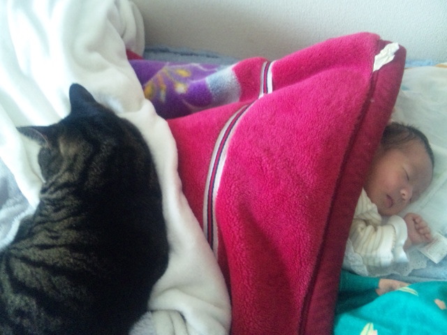 DVC00164(V.2012_02_27__12_52_46).jpg