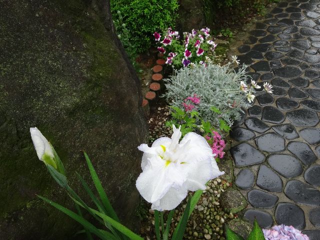 DSC04024.JPG
