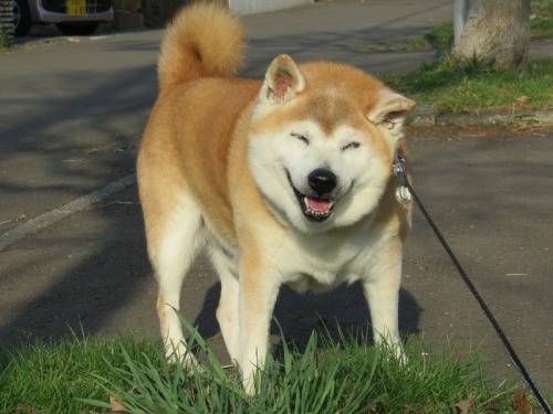へへへ.jpg