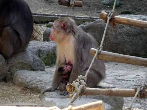 命名の日のレイワ (7).JPG