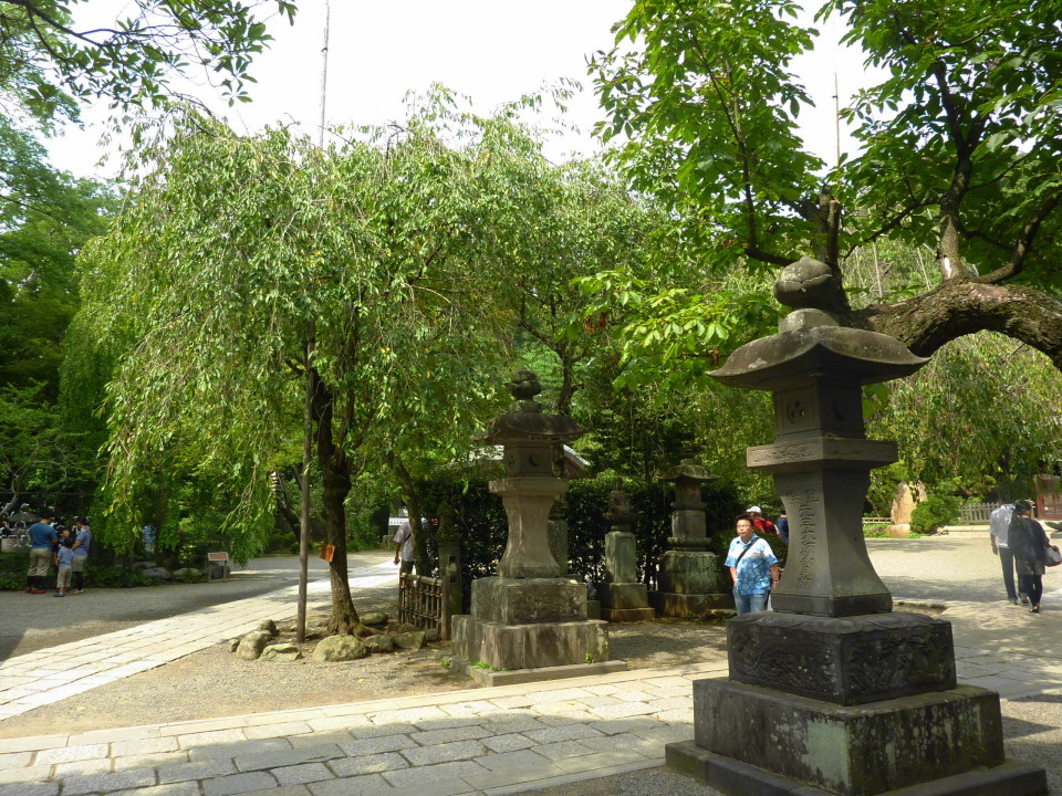 P1450698.JPG