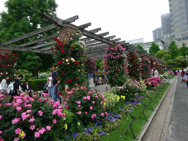 山下公園 (5).JPG