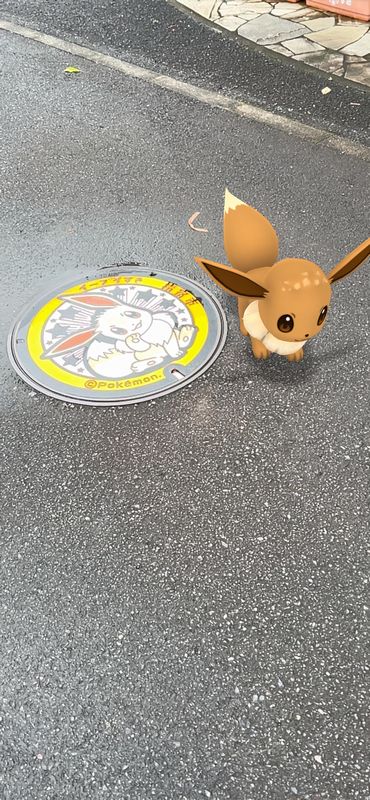 ポケモン_02_イーブイ2.jpg