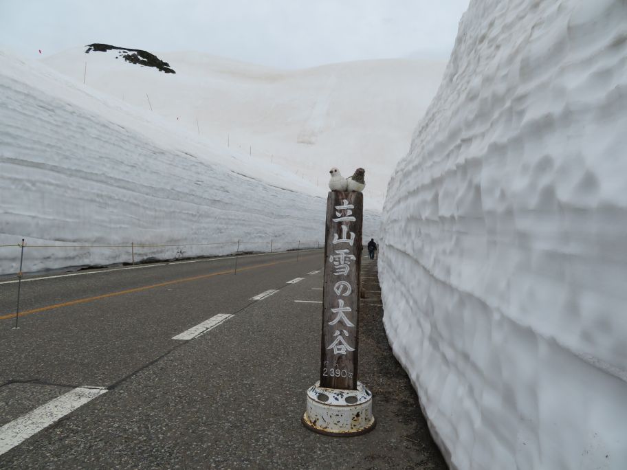 アルペンルート (38).jpg