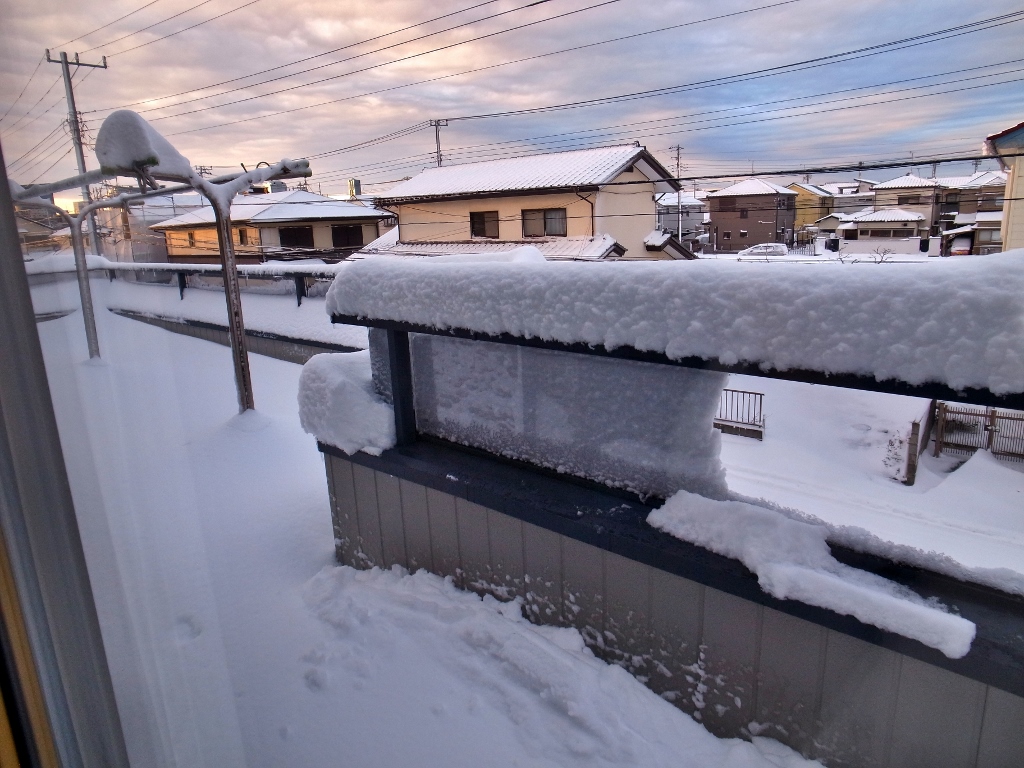 R0050742 (1024x768).jpg