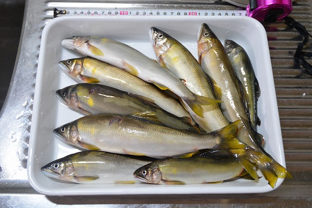 showPhoto (640×426)