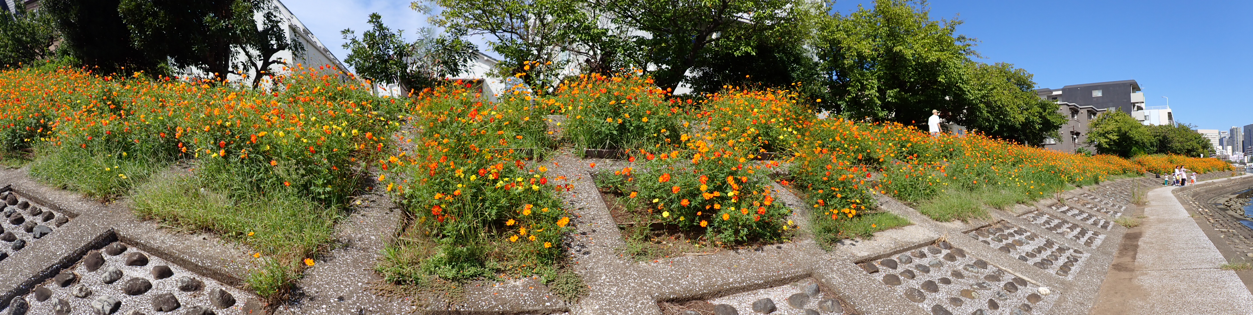 PA021028.JPG
