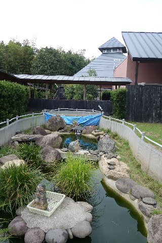 DSC03228.JPG