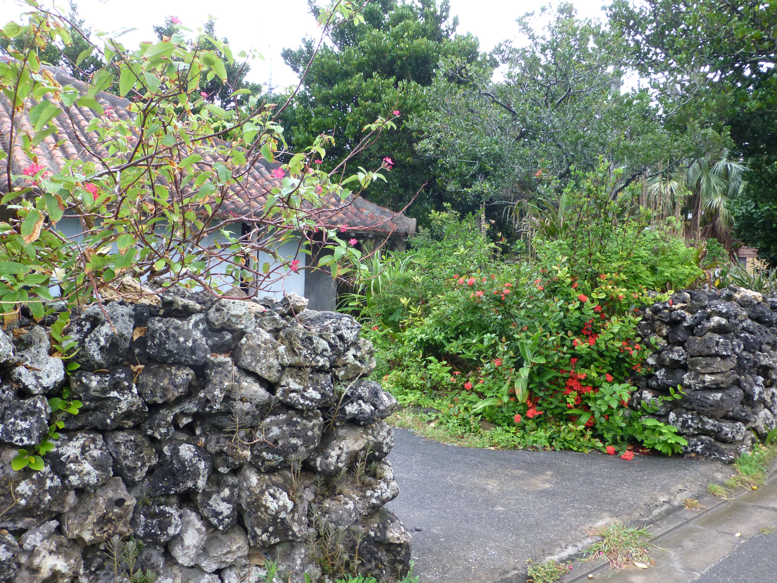 P1000937.JPG