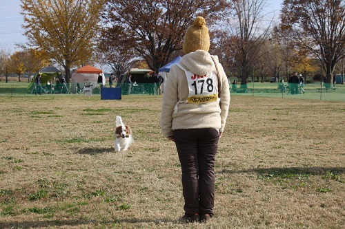IMG_4687.JPG