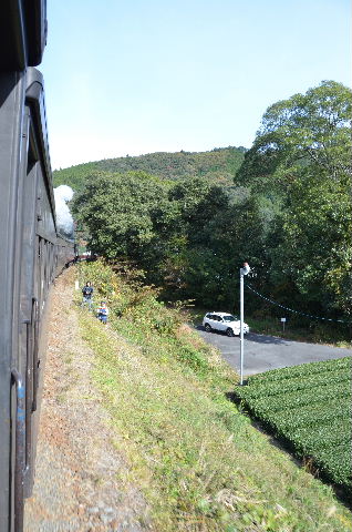 DSC_1757.JPG