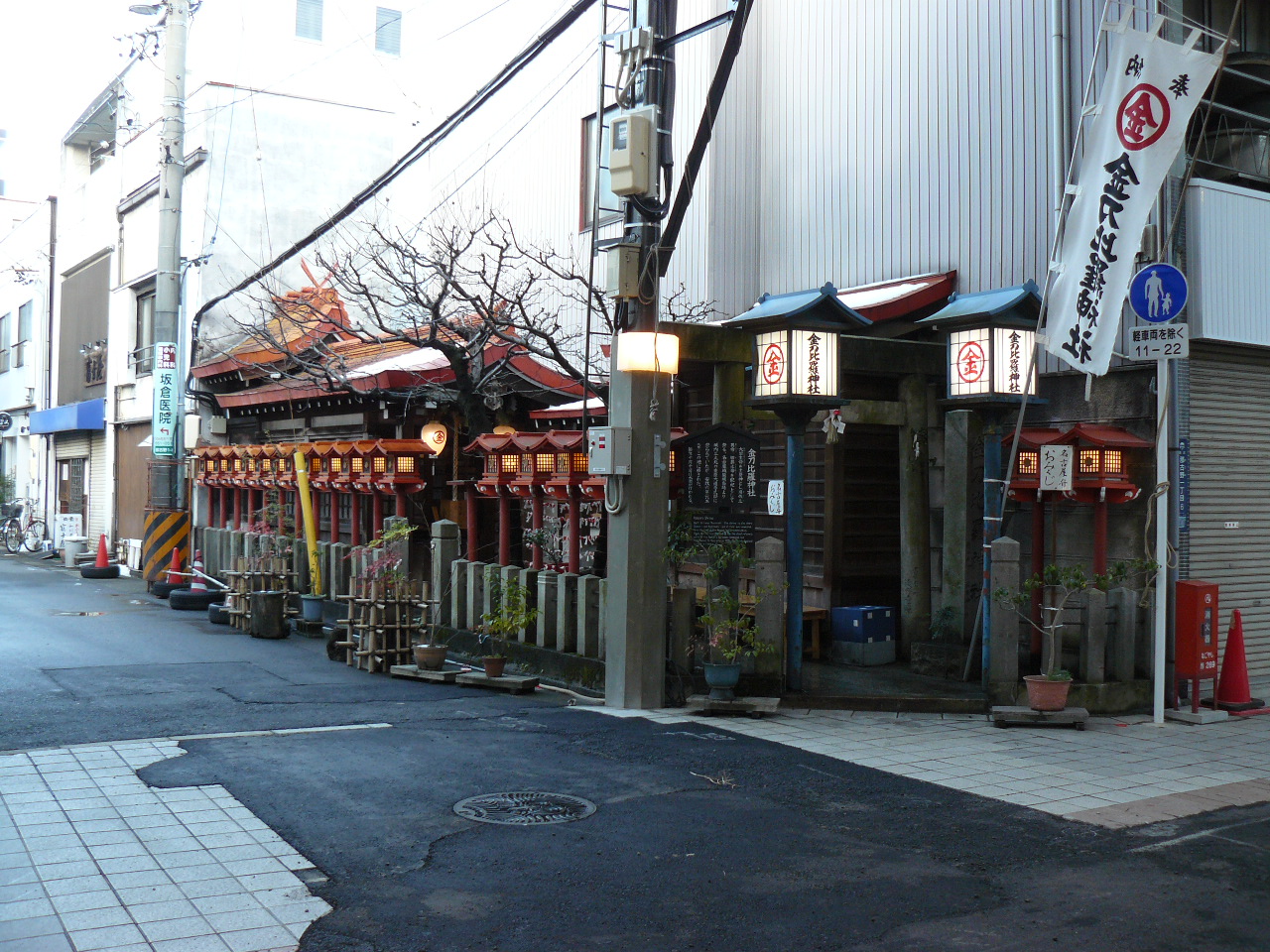 P1080709.JPG