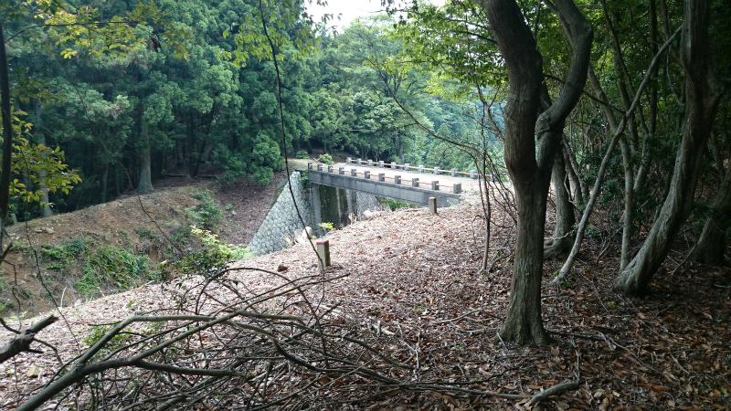 DSC_0932.jpg