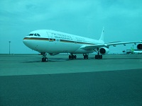 95.jpg
