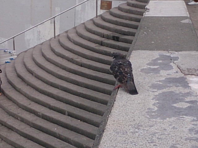 20151018  DSC_0002.jpg