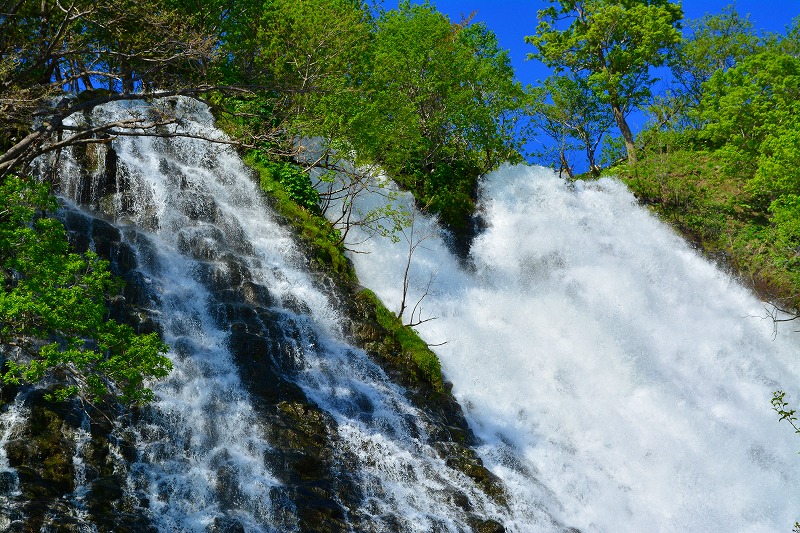 DSC_0053.jpg