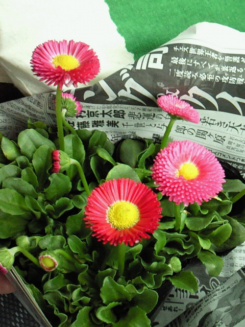 SBCA0407.JPG