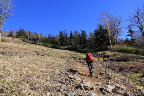 西吾妻山13.jpg