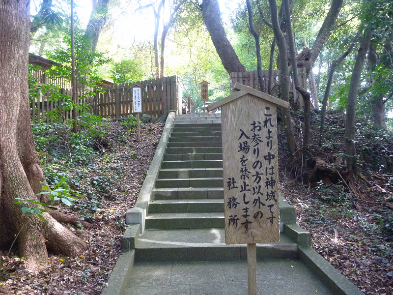 20141020 11272301.jpg