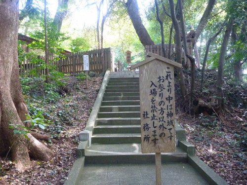 20141020 11272301.jpg