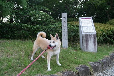 DSC08823.jpg