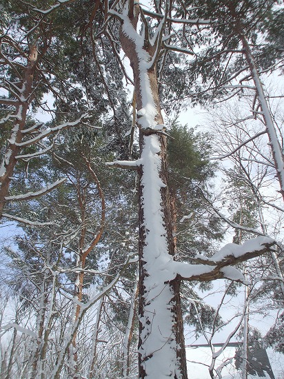 DSCF4623.jpg
