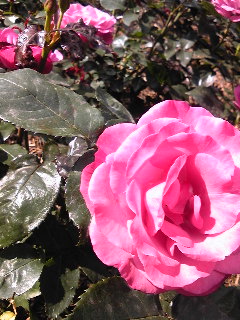 120512_162752.jpg
