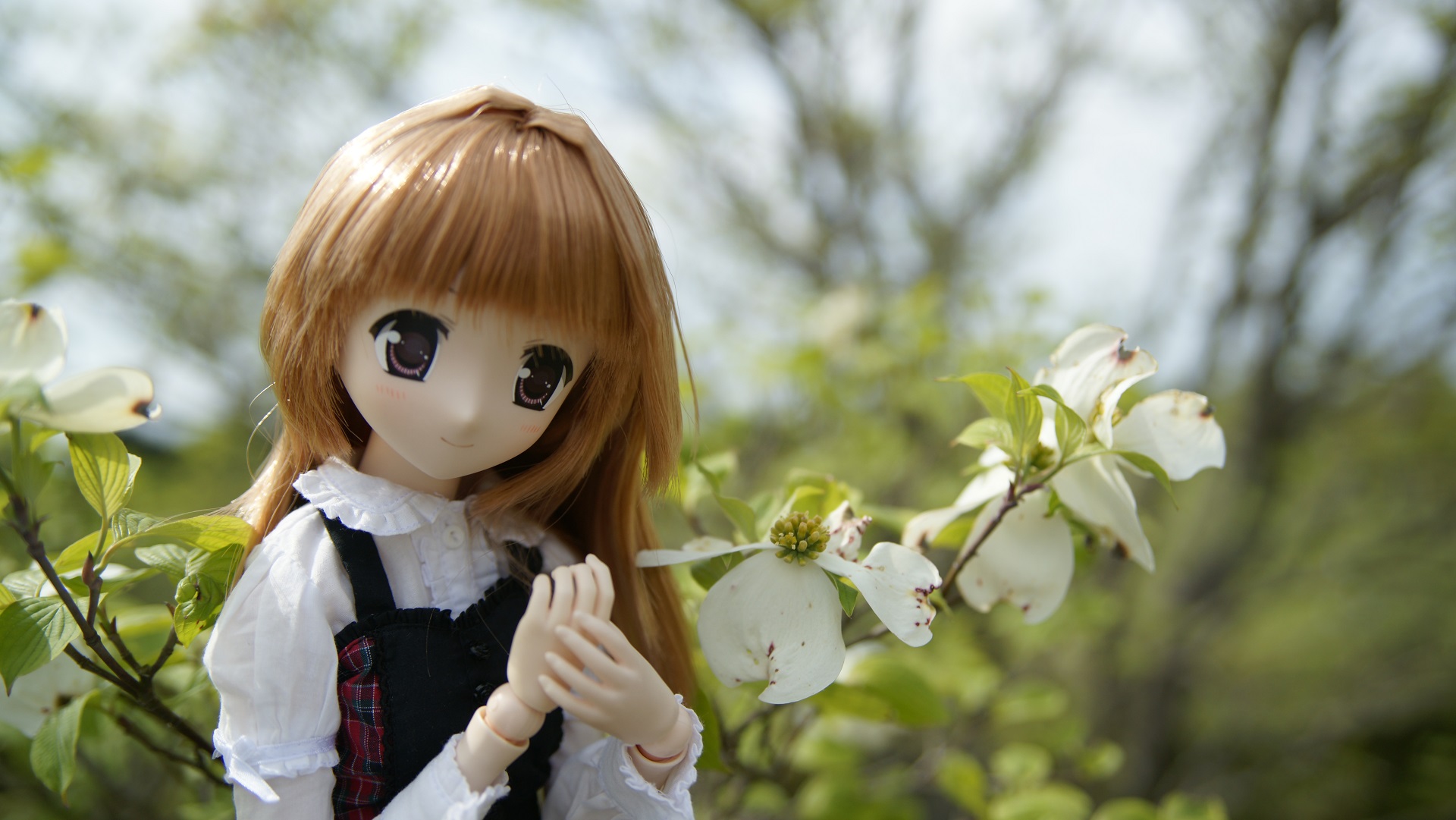 20150429植樹祭　02.jpg