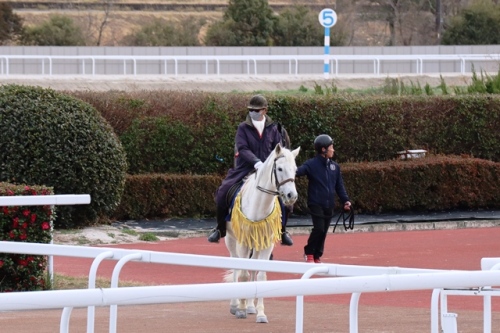 ジュニアグローリー２５ピンガｃ.jpg