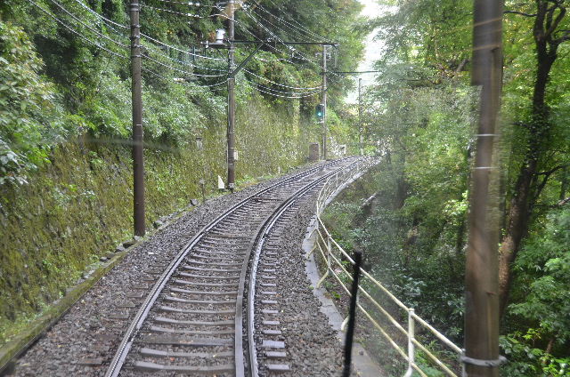 DSC_0736.JPG