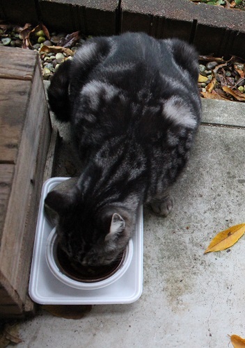 お母さん (3).JPG