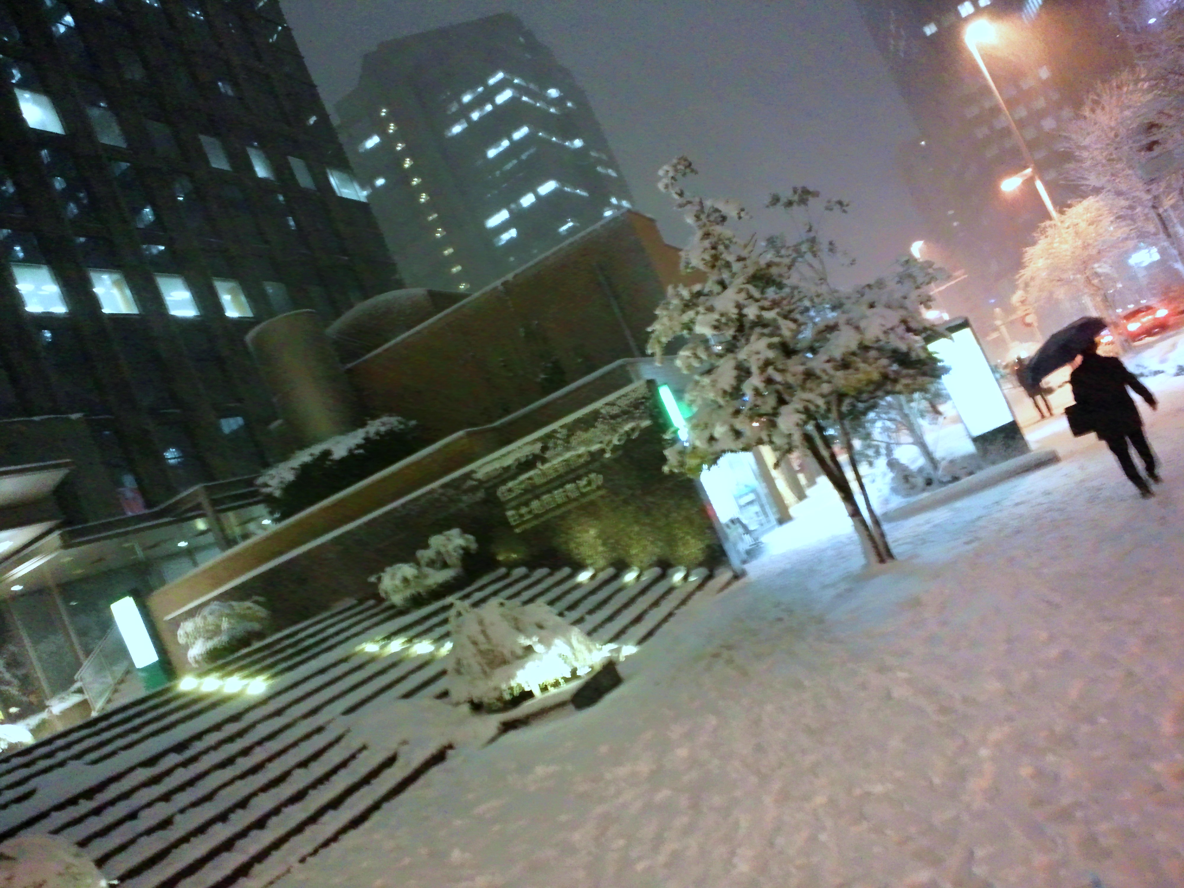 DSC_3725.JPG