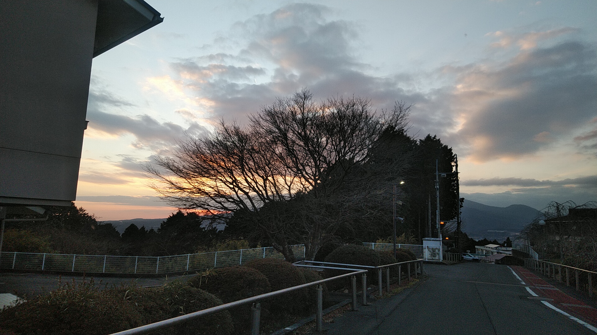 20220110  DSC_0005.jpg