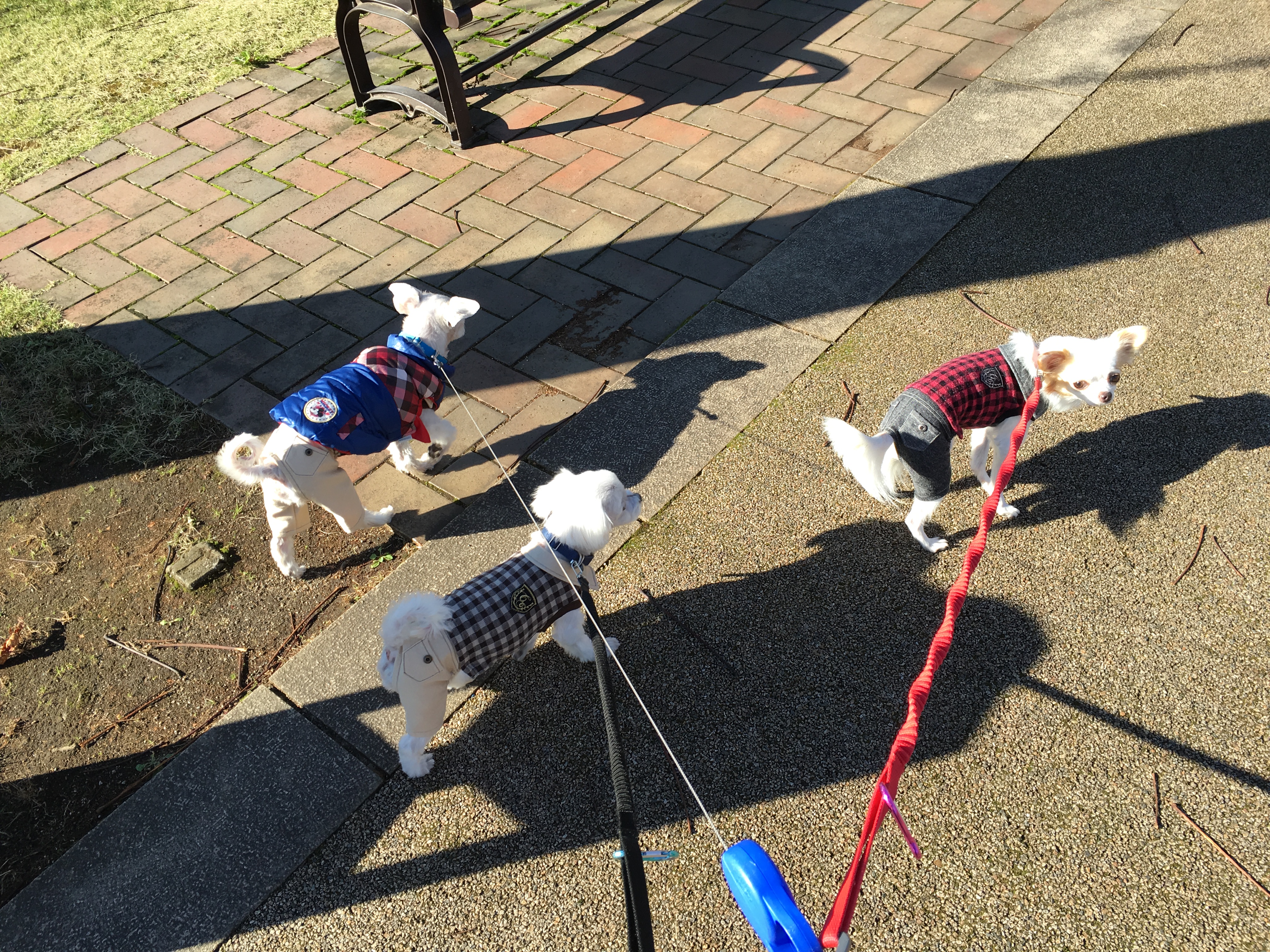 201511272008_5047_iphone.jpg