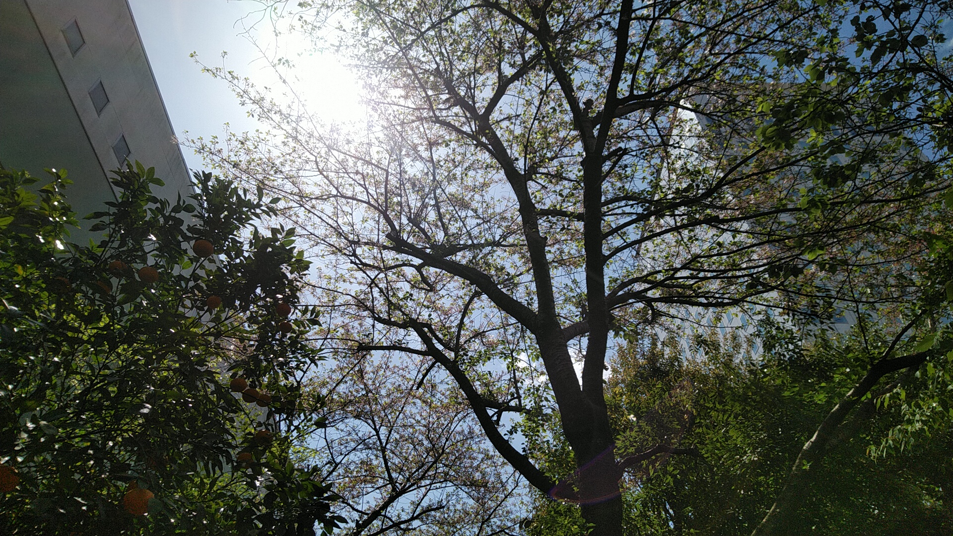 20230408  DSC_0001.jpg