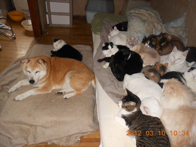 DSCN3128.JPG