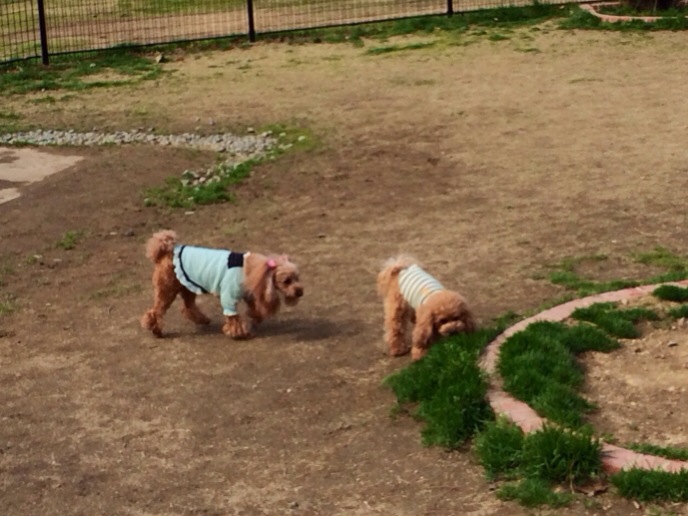 201403231120_3174_iphone.jpg