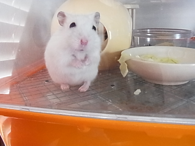 2014_06300035.JPG