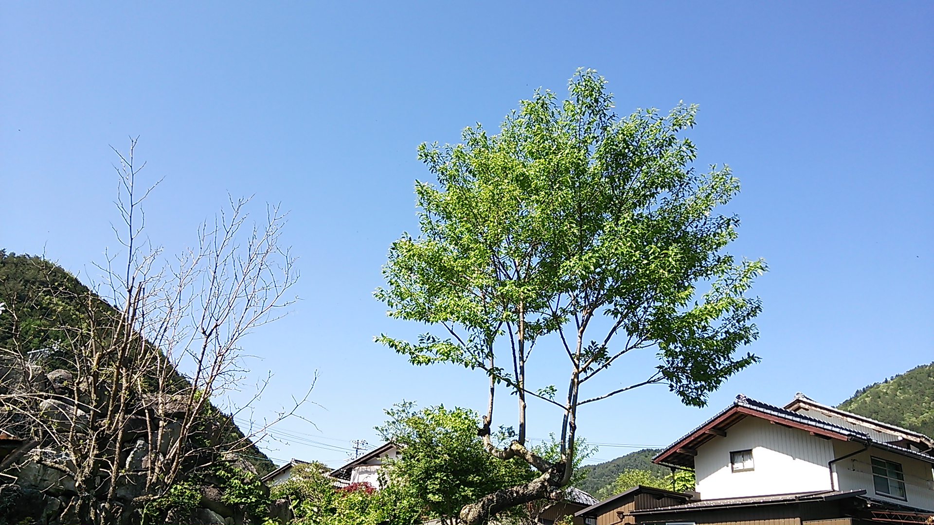 DSC_0024.JPG