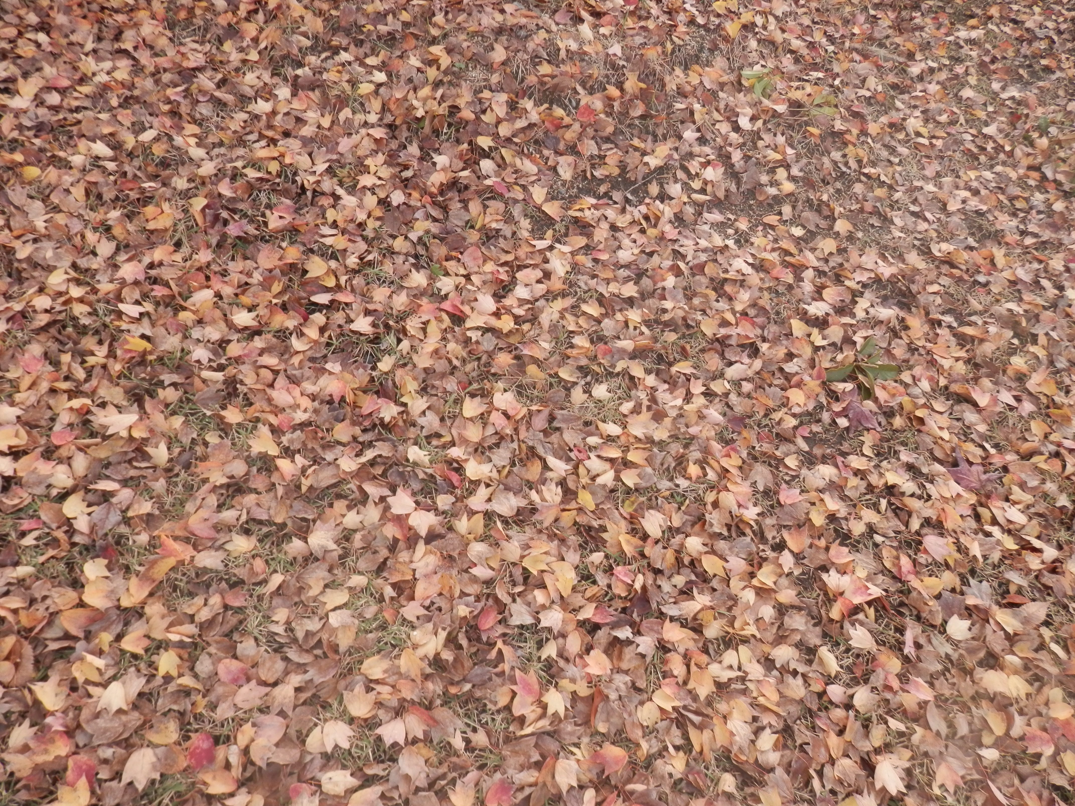 PB182097.JPG