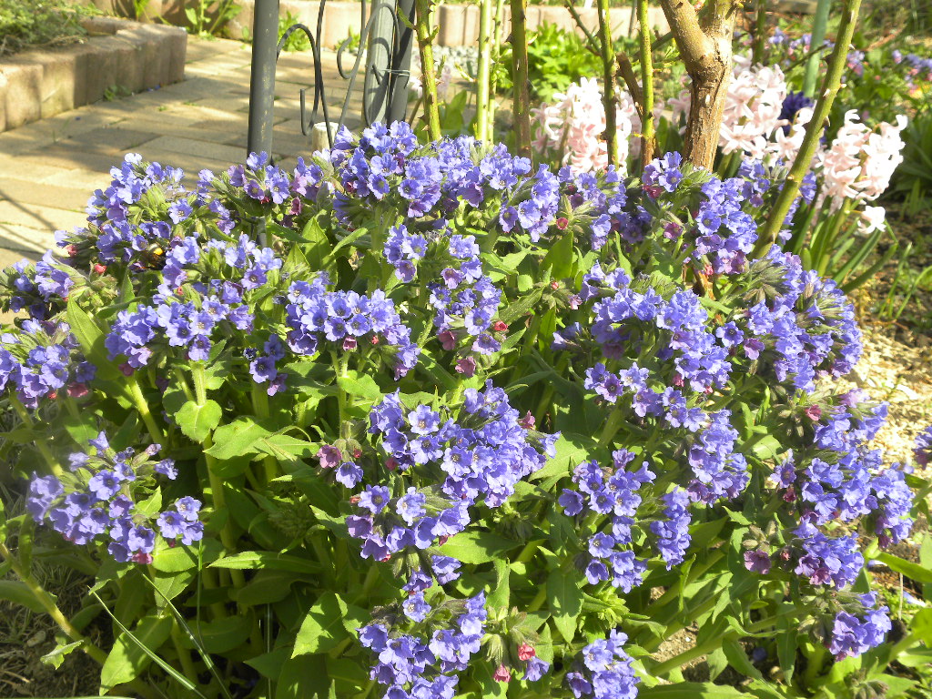 DSCN1100.JPG