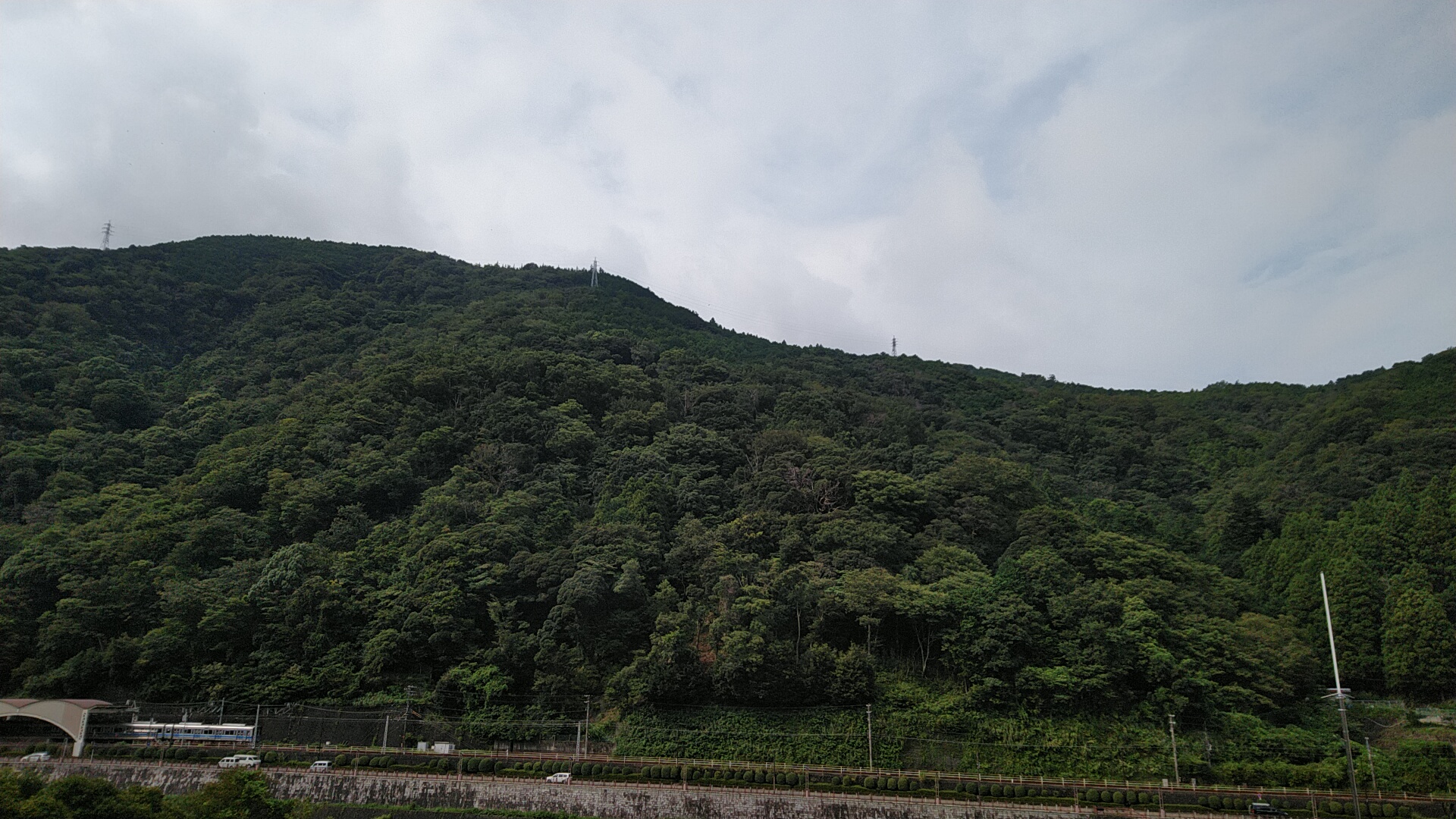 20220909  DSC_0002.jpg