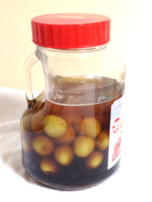 130605 梅酒 漬け始めてまる３日