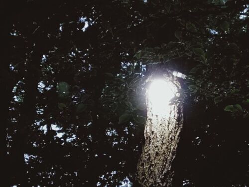250708light2.jpg