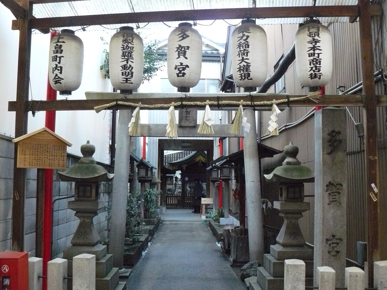 P1080712.JPG