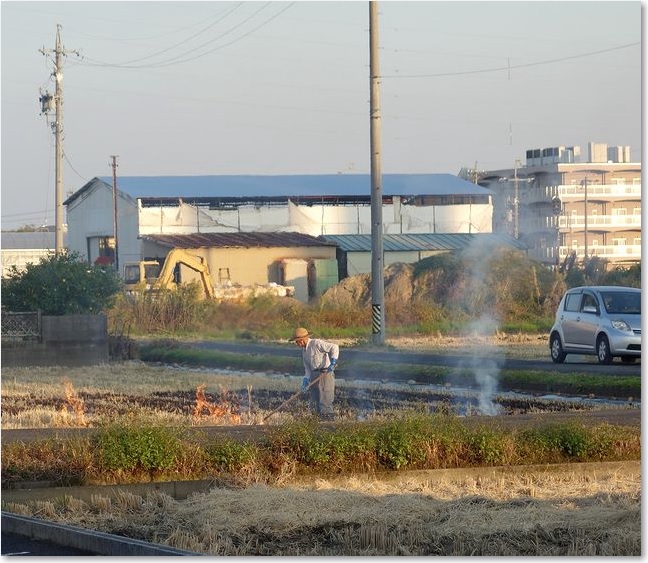 44野焼きもあります