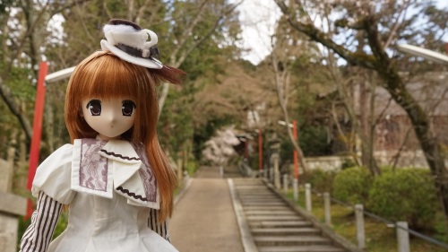 陽菜ちゃん　栗田神社 山道.jpg