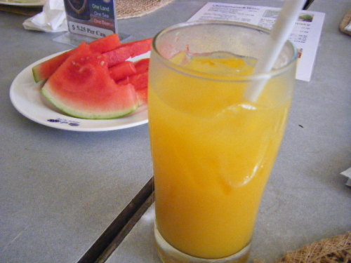 グアム旅行 フィッシュアイマリンパーク (2).JPG