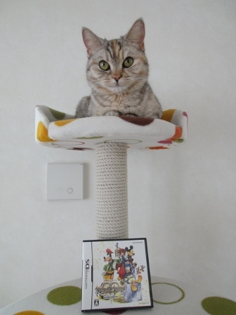 DSC01118 (336x448).jpg